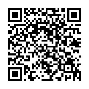那位红衣大主教与宗祀所主教得罪了朱砂丹的主人二维码生成