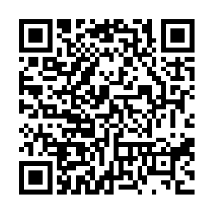 那你们就打错主意了……和刚才这样蠢蠢自投罗网战利品二维码生成