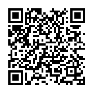 那你们认为帕里斯可以有全权去管理希尔顿酒店么二维码生成