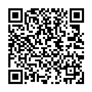 那你只给了他一晚上的时间伪造出来的印章岂不是更加假了二维码生成