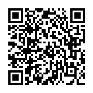 那你让我来到这个世界不就已经影响了这个世界的自然发展二维码生成