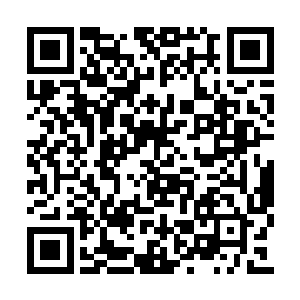 那你输了就把上次从我这里赢走的凌寒珠还给我二维码生成