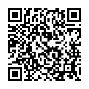 那便是主动屠掉西秦国占据的那一丝苟延残喘的龙脉二维码生成