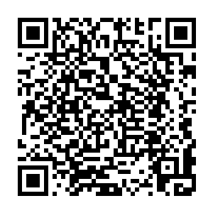 那倒没有不过你还记得上几天我陪皇上去醉仙居品尝你那道二十四桥明月夜么二维码生成