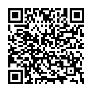 那儿的医疗条件和生活环境并不比龙息疗养院差二维码生成