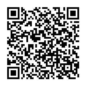 那冲向熊人的白虎竟然就这么硬生生地被那熊人双掌给狠狠拍飞了出去二维码生成