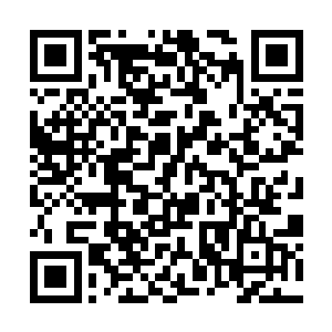 那凝聚出的脸庞上更是充满了痛苦和不可置信的神色二维码生成
