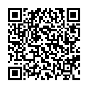 那几个在前面争斗的人自然没有任何悬念的直接化成了湮粉二维码生成