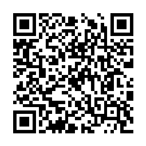 那几个攀爬上了城墙的侦察兵们也被狠狠甩了下来二维码生成