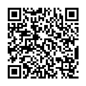 那刚刚下葬下去一半的刘老爷子的棺材此刻也是横倒在一边二维码生成