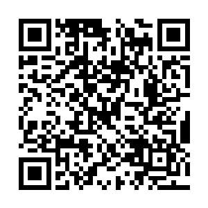 那匍匐在地苟延残喘的巨龙和猛犸巨象的变异头领二维码生成