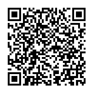 那区区一滴精血也已经足以让楚旬从中汲取到属于虫皇一族的基因力量了二维码生成