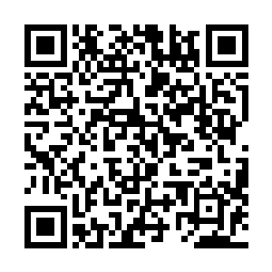 那华云宗已经当之无愧的成为了格森王国的第一大势力了二维码生成