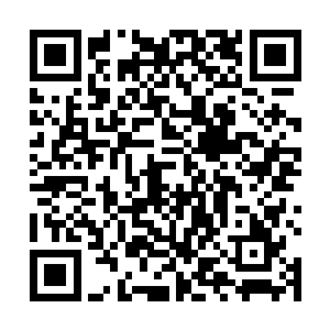 那原本倒飞出去的巨怪却诡异的消失在了倒飞的过程中二维码生成