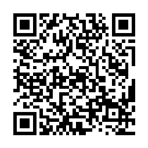 那原本光滑如镜的金刚琢上也忽然浮现出了一道细细的裂纹二维码生成