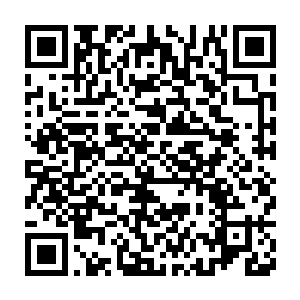 那原本已经被他所降服和融合的恶念也忽然再度有了蠢蠢欲动之势二维码生成