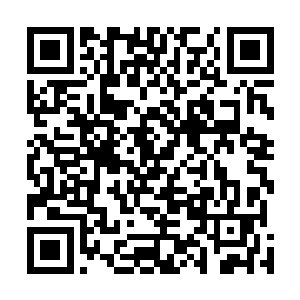 那原本气势汹汹的嗜血魔蝠也终于认识到了五行虫的可怕二维码生成