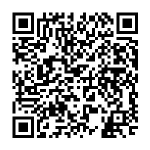 那原本被楚旬一拳重创的妖皇投影的身上也是再度燃起了炽烈的血色火焰二维码生成