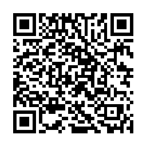 那原本被硬生生掰断的手指就完美的重新接合在了一起二维码生成