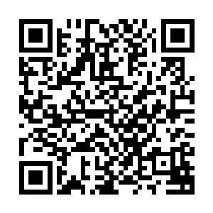 那双一直看不清楚的眸子更是绽放出让人无法直视的坚定和尖锐二维码生成