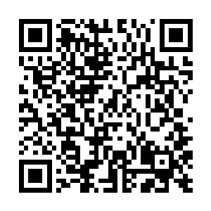 那双澄清的眼睛就这么淡淡的看过来――这时是寒冬二维码生成