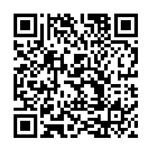 那只体型最大的立即会意的带着与自己差不多的一波离开了二维码生成