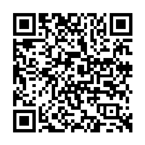 那叮叮咚咚地响声在绿意盎然的森林里呜叫作响二维码生成