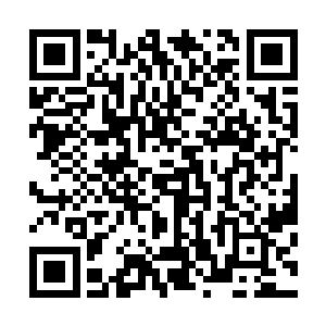 那可怕的攻击的确是被林辰手中握着的那柄长剑所……吸收二维码生成