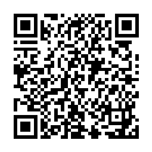 那可怕的热辐射力量虽然一次又一次地重创了楚旬的身体二维码生成