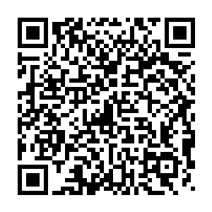 那可是妈妈好不容易才在荒野上找到的类似地球上的蚕会吐丝的虫子二维码生成