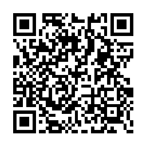 那可是恨不得自己立刻出手将储物戒指给夺过来二维码生成