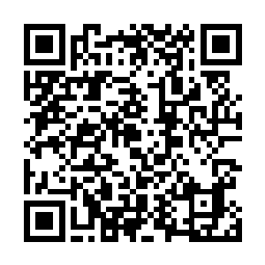 那名随从连忙从拴在龟壳上的行礼包裹中取出一小把盐粒二维码生成