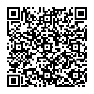 那向着土依水纠缠而去的古藤上一根根尖刺突然化作一柄柄利箭向着土依水激射而去二维码生成