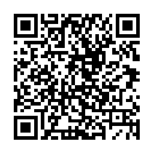 那和周围窗口并没有什么不同的窗口让他们不禁狐疑二维码生成