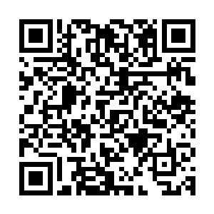 那咱们的头孢唑林生产线该怎么办总不能把订单让给宿江集团后二维码生成
