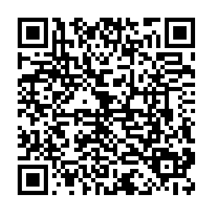 那地动山摇的欢呼声让整个神圣大礼堂开始摇晃起来――真实地晃动二维码生成