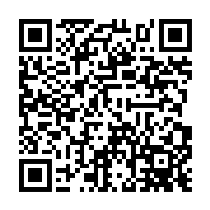 那堆积的厚厚的岩浆流墨墨并没有再去翻动的意思二维码生成