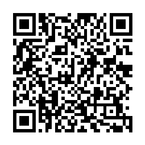 那它会莫名其妙的拨拉吐出一堆被它消化了一半的灵物给你二维码生成