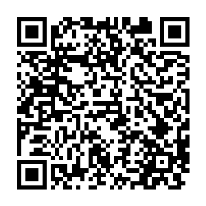 那寒冷的气息甚至是让云婉儿和昊家的两位天骄都不得不运转念力抵抗二维码生成