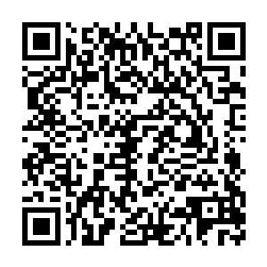 那寻踪之触是只有张铁才可以看得见的一种特殊而隐蔽的精神印记二维码生成