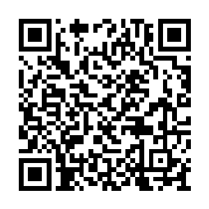 那小子表面上对你客客气气陈叔叔陈叔叔的叫着二维码生成