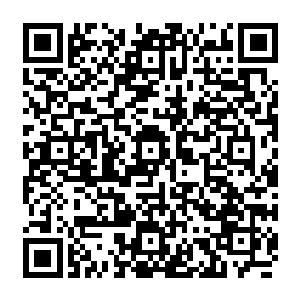 那少年看走不了就抱紧怀里的盒子不说话站那任由周围人软缠硬磨也不愿意打开玉盒二维码生成