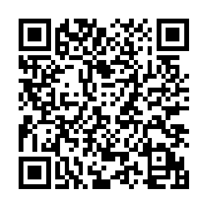 那尤子星实在不敢想象血云家族究竟会遭受怎样的打击二维码生成