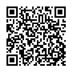 那就只有把这难得的冰蛇皇卵煎了煎给爹爹拿去下酒了补身体了二维码生成