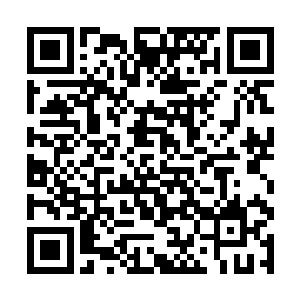 那就是呼啸山脉中人族和妖族的大战令人族损伤惨重二维码生成