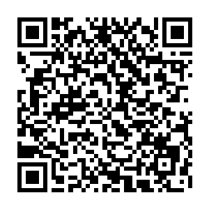 那就是和真人类帝国的最强者相差无几如果伏羲统御下的圣盟远远强于帝国二维码生成