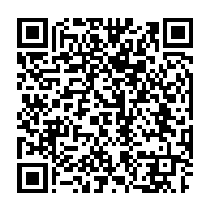 那就是在工业上缺乏真正具有竞争力和可持续发展潜力的支柱产业二维码生成