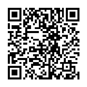 那就是埃及的神殿在十三年前多出来了一位神秘的第一法老二维码生成
