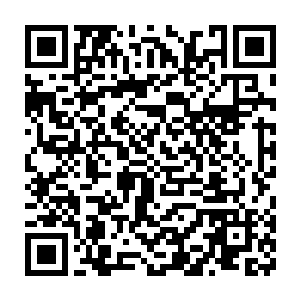 那就是我们洼崮的中药材专业市场和中药材种植基地建设已经正式启动二维码生成