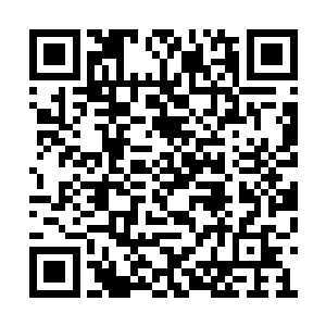 那就是清军肯定会在芦苇荡中安排巡视的官军的二维码生成